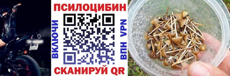 Галлюциногенные грибы MAGIC MUSHROOMS  где найти наркотики  Горячеводский 